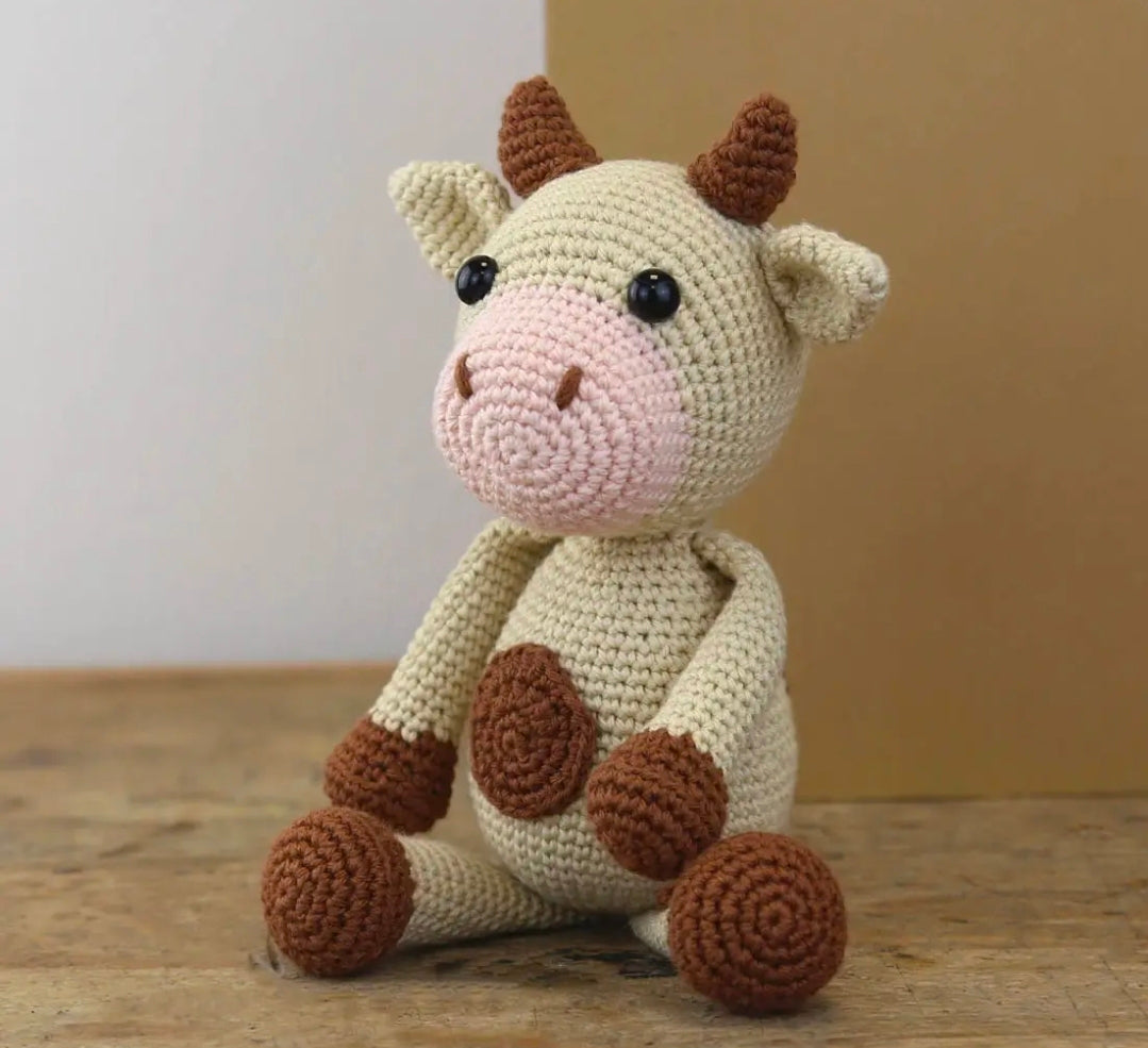 Kit crochet